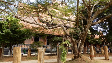 photo 1472216