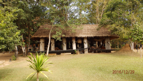 photo 1472221