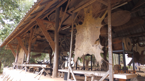 photo 1472229