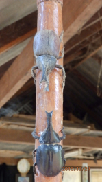 photo 1472233