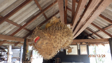 photo 1472234