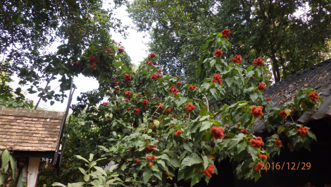 photo 1472235