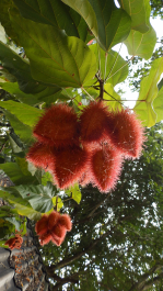 photo 1472236