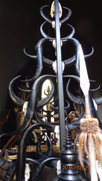 photo 1472237