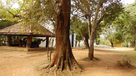 photo 1472239