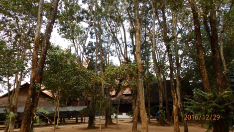 photo 1472255