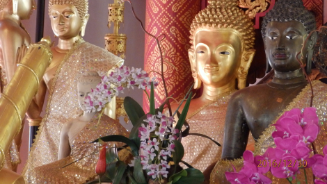 photo 1473597
