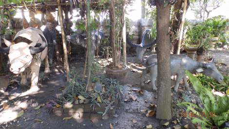 photo 1473611