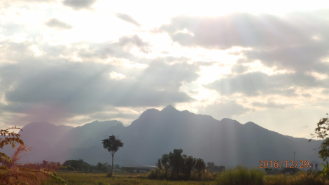 photo 1473987