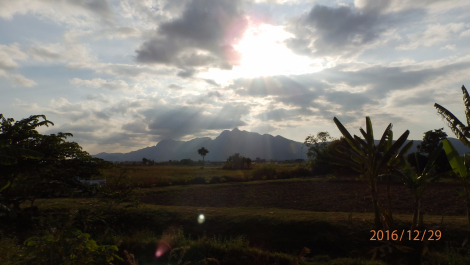 photo 1473988