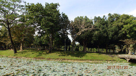 photo 1475683
