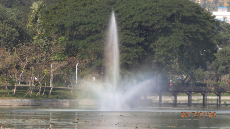 photo 1475685