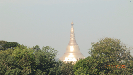 photo 1475711
