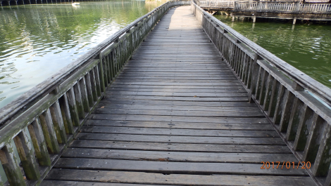 photo 1475722