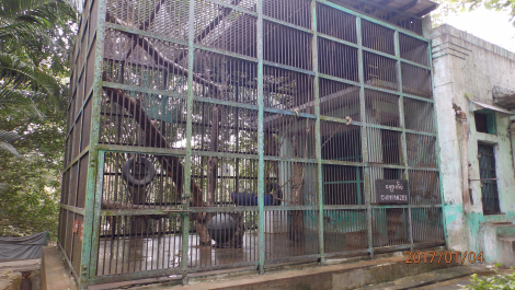 photo 1475901