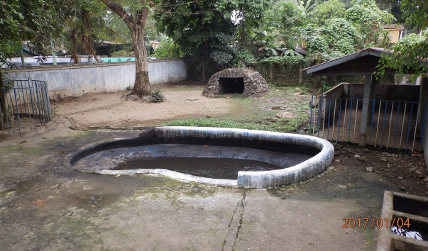 P1042529