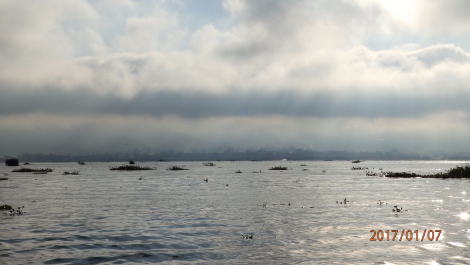 photo 1479343