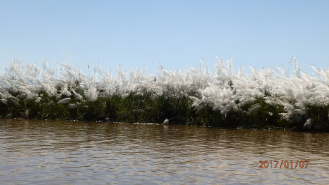 photo 1490319