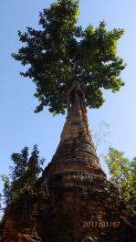 photo 1487457