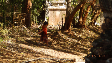 photo 1488778