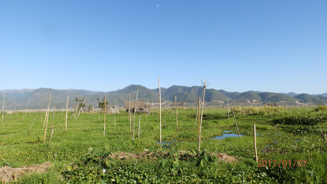 photo 1493189