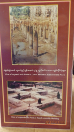photo 1493776