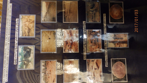 photo 1493778