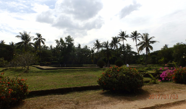 P1032403