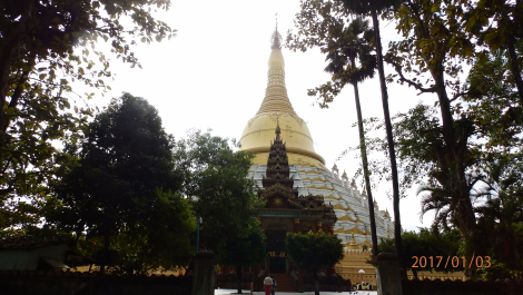 photo 1494997