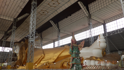 photo 1495178