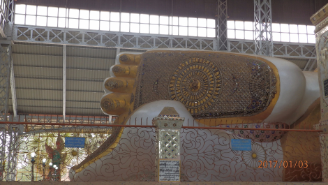 photo 1495180