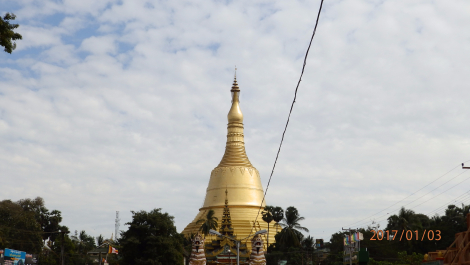 photo 1495159
