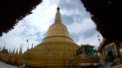 photo 1495169