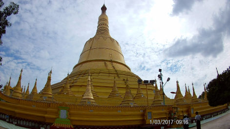 photo 1495172