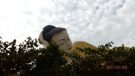 photo 1495214