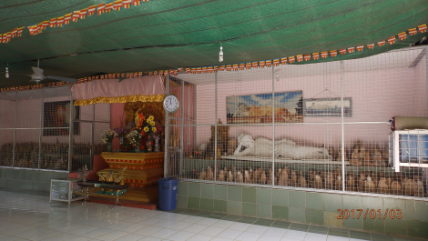 photo 1495215
