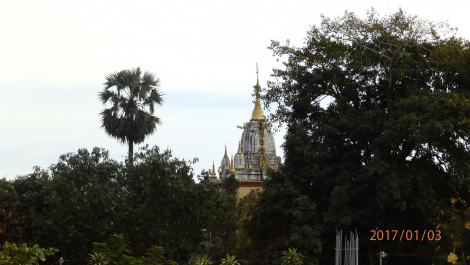 photo 1495228
