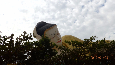 photo 1495229