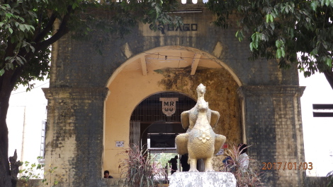 photo 1495240