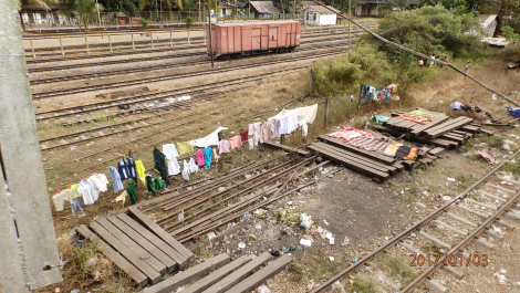 photo 1495251