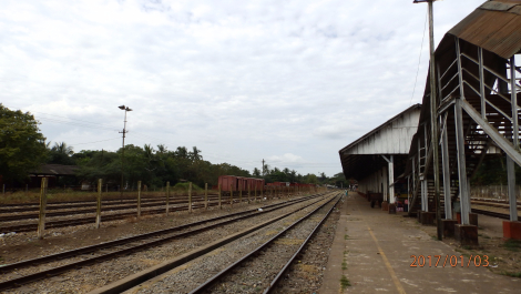 photo 1495256