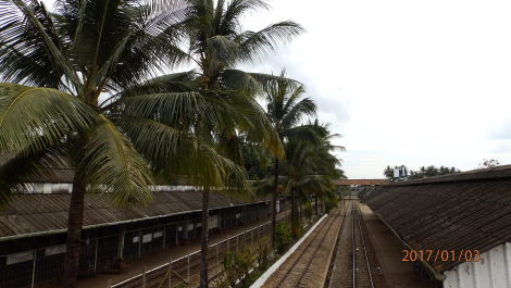 photo 1495258