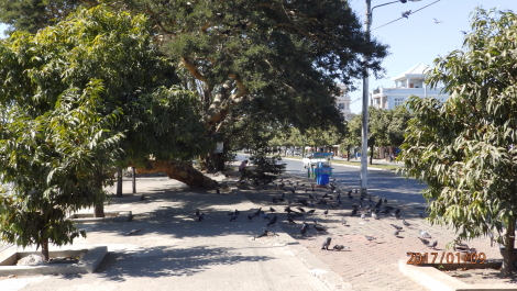 photo 1496257