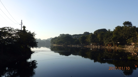 photo 1496686