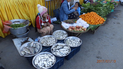 photo 1496660