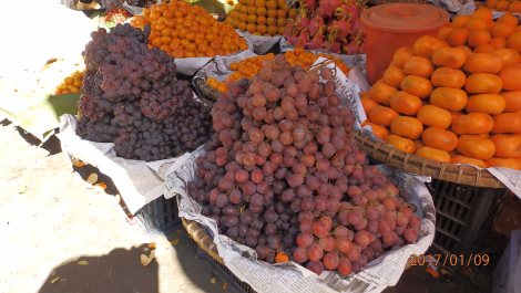 photo 1496671