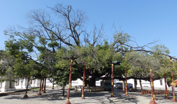 P1093908