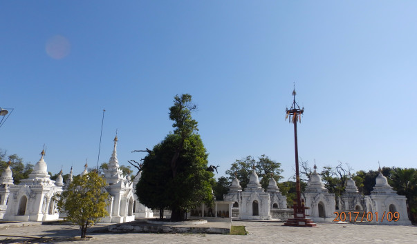 P1093902