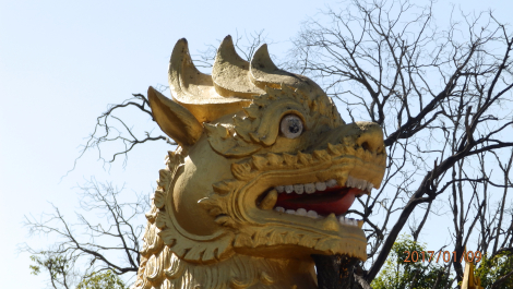 photo 1496796