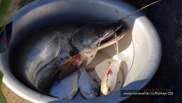 photo 1497174